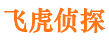 布拖找人公司